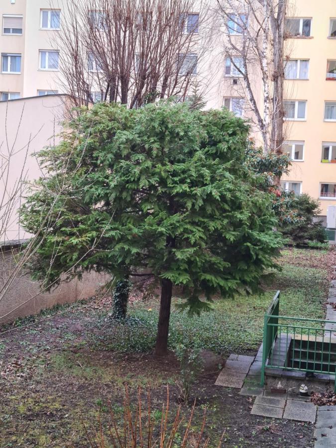 Apartment Ismens Vienna Exterior photo